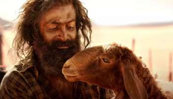 Aadujeevitham Box Office: രണ്ട് ദിവസം എത്രനേടി ആട് ജീവിതം? കണക്ക് നോക്കിയാൽ ഞെട്ടും