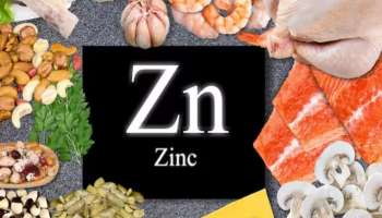 Zinc For Immunity: ഇവർ സിങ്ക് കൂടുതലായി ലഭിക്കുന്ന ഭക്ഷണങ്ങൾ കഴിക്കണം; എന്തുകൊണ്ട്?