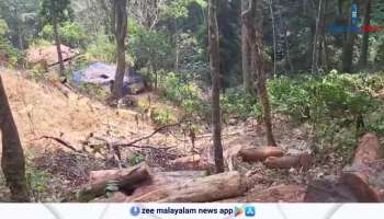 The local residents said the forest department officials supported tree cutting