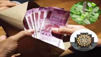 Money and Astro Tips: സാമ്പത്തിക പ്രതിസന്ധി മറികടക്കാൻ ഈ സാധനങ്ങൾ വീട്ടിൽ സൂക്ഷിക്കൂ, ലക്ഷ്മി ദേവി സമ്പത്ത് വർഷിക്കും!! 