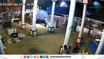 Watch Violent Elephant Killed Mahout During Temple Festival In Kottayam Vaikom