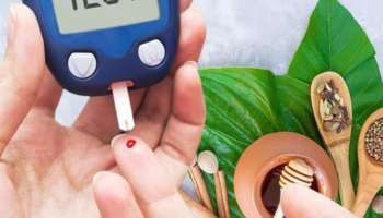 Diabetes Diet Tips: രക്തത്തിലെ ഉയർന്ന പഞ്ചസാരയുടെ അളവിനെ നിയന്ത്രിക്കാം; ഈ ആയുർവേദ പാനീയങ്ങൾ സഹായിക്കും