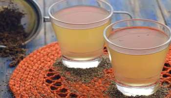 Ajwain water: 5 പ്രശ്നങ്ങൾക്ക് ഒറ്റ പ്രതിവിധി; അയമോദക വെള്ളം മാത്രം മതി