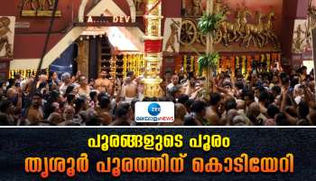 Thrissur Pooram 2024: പൂരങ്ങളുടെ പൂരത്തിന്  കൊടിയേറി; ഇനി പൂരത്തിന്റെ ആവേശത്തിലേക്ക്