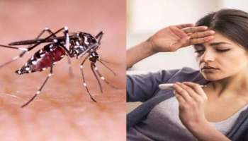 Dengue fever: ഇടവിട്ടുള്ള മഴ; ഡെങ്കിപ്പനി വ്യാപിക്കാന്‍ സാധ്യതയുണ്ടെന്ന് ആരോ​ഗ്യമന്ത്രി