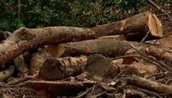 Wayanad Tree Felling Case: വയനാട് സുഗന്ധഗിരി വനഭൂമിയിൽ നിന്ന് മരം മുറിച്ച് കടത്തിയ സംഭവം; കൽപ്പറ്റ റേഞ്ച് ഓഫീസർക്ക് സസ്പെൻഷൻ