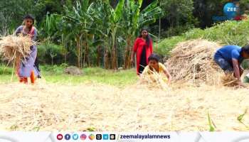 Young people of Idukki are active in agriculture while waiting for government jobs