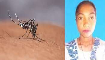 Malaria: ഇടുക്കിയിൽ മലേറിയ ബാധിച്ച് അതിഥി തൊഴിലാളി മരിച്ചു