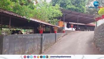 Idukki Theft Case