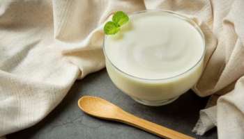 Curd Vs Yoghurt: തൈരും യോ​ഗർട്ടും തമ്മിൽ എന്താണ് വ്യത്യാസം? തടി കുറയ്ക്കാൻ ഇതിൽ ഏതാണ് നല്ലത്?