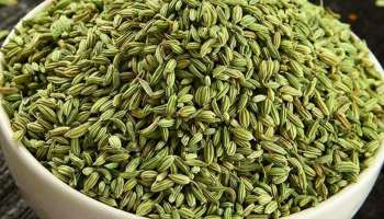 Fennel Seeds For Weight Loss: അമിതവണ്ണം കുറയ്ക്കാൻ പെരുംജീരകം പൊളിയാ; കൊഴുപ്പ് അടിയോടെ ഉരുക്കും