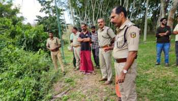 Tiger Attack: വയനാട് പുൽപ്പള്ളിയിൽ കടുവയിറങ്ങി; രണ്ടു പശുക്കിടാങ്ങളെ കൊന്നു