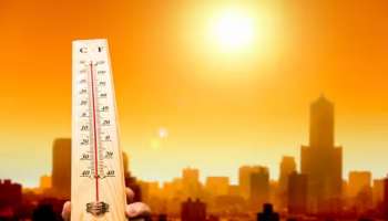 Heat wave alert: ഉഷ്ണതരം​ഗം; പാലക്കാട് ജില്ലയിലെ വിദ്യാഭ്യാസ സ്ഥാപനങ്ങൾ മെയ് 2 വരെ അടച്ചിടും 