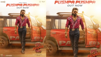 Pushpa 2 Song: &#039;പുഷ്പ പുഷ്പ&#039;, പ്രേക്ഷകരെ ത്രസിപ്പിക്കാന്‍ പുഷ്പ 2-വിലെ ആദ്യഗാനം പുറത്ത്; ചിത്രം തീയറ്ററുകളിലേക്ക് 