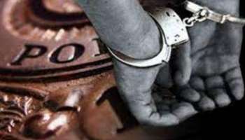 Expats Arrested: തൊഴിൽ നിയമം ലംഘിച്ച 14 പ്രവാസികൾ അറസ്റ്റിൽ