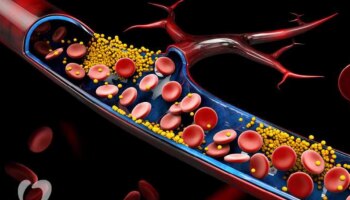 Drinks Helps To Reduce Cholesterol: അതിരാവിലെ ഈ പാനീയങ്ങൾ കുടിക്കൂ...! ഉയരുന്ന കൊളസ്ട്രോളിനെ പിടിച്ചു കെട്ടാം