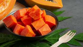 Papaya Benefits: വെറും വയറ്റിൽ പപ്പായ കഴിക്കാം; ഇത്രയുമാണ് ​ഗുണങ്ങൾ