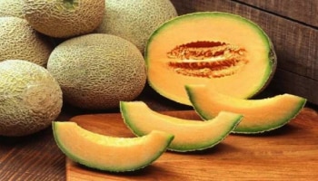 Benefits of eating Musk Melon: ദിവസവും രാവിലെ ഷമാം ഇങ്ങനെ കഴിക്കൂ...! നിങ്ങളുടെ ഈ അസുഖങ്ങളോട് ​ഗുഡ്ബൈ പറയൂ