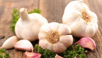 Garlic Health Benefits: രാത്രി ഉറങ്ങുന്നതിന് മുൻപ് ഒരു അല്ലി വെളുത്തുള്ളി കഴിക്കാം; എന്താണ് ​ഗുണം?