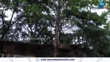 Poor Condition of Kothamangalam kseb quarters