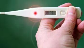 Fever Death: പനി മരണം; സംസ്ഥാനത്ത് 5 മാസത്തിനിടെ എലിപ്പനി ബാധിച്ച് മരിച്ചത് 90 പേർ