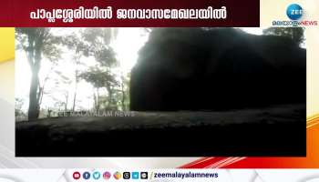 Wild Elephant spotted in Wayanad Paplassery residential area