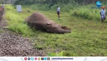 Tamil Nadu launched AI to prevent elephant deaths on railway tracks