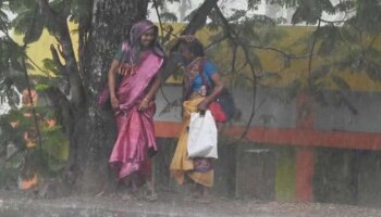 Kerala Weather:  മഴ വരുന്നേ...! കേരളത്തിലെ ഈ ജില്ലകളിൽ മഴ സാധ്യത