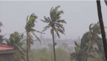 Kerala Monsoon Update: കാലവർഷം നാളെയെത്തും; മഴ ശക്തമാകും, ഇടിമിന്നലിനും കാറ്റിനും സാധ്യത