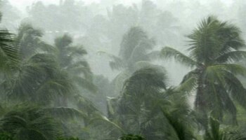 Kerala Weather: ഈ ജില്ലകളിൽ മണിക്കൂറുകൾക്കിടയിൽ കനത്ത മഴ സാധ്യത! ജാ​ഗ്രത പാലിക്കുക