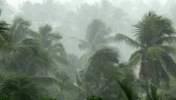 Kerala Weather: സംസ്ഥാനത്ത് കാലവർഷം സജീവമാകുന്നു! ഈ ജില്ലകളിൽ മഴ സാധ്യത