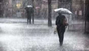 Kerala Rain Alerts: സംസ്ഥാനത്ത് ശക്തമായ മഴ തുടരുന്നു; 5 ജില്ലകളിൽ യെല്ലോ അലർട്ട്!