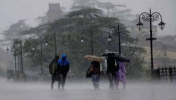 Kerala Weather: പുതുക്കിയ മഴ സാധ്യത; യെല്ലോ അലർട്ട് പ്രഖ്യാപിച്ചു, ഈ ജില്ലകളിൽ മഴ 