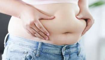 Belly Fat Loss Tips: വയറിലെ കൊഴുപ്പ് കുറയ്ക്കാം... ഈ ഭക്ഷണങ്ങൾ കഴിച്ചാൽ മതി