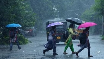 Kerala Rain Updates: ഒറ്റപ്പെട്ട ശക്തമായ മഴയ്ക്ക് സാധ്യത; സംസ്ഥാനത്ത് ഏഴിടത്ത് യെല്ലോ അലർട്ട്