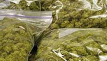 Marijuana Seized: പാലക്കാട് റെയിൽവേ സ്റ്റേഷനിൽ ഉപേക്ഷിച്ച നിലയിൽ ചാക്ക്; തുറന്നപ്പോൾ 19.4 കിലോ കഞ്ചാവ്, അന്വേഷണം ആരംഭിച്ച് എക്സൈസ്