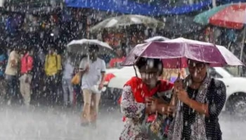 Kerala rain: കുട എടുക്കാൻ മറക്കല്ലേ...! രാവിലെ പരക്കെ മഴ, ഇന്ന് 5 ജില്ലകളിൽ യെല്ലോ അലർട്ട്