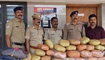 Drugs Seized: ചെന്നൈ-മംഗളൂരു മെയിലിൽ വൻ കഞ്ചാവ് വേട്ട; പിടികൂടിയത് 46 കിലോ കഞ്ചാവ് 