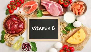 Vitamin B12 Rich Foods: വിറ്റാമിൻ ബി12 സമ്പന്നം; ചീത്ത കൊളസ്ട്രോൾ കുറയ്ക്കാനും സ്ട്രോക്ക് തടയാനും ഈ ഭക്ഷണങ്ങൾ കഴിക്കാം
