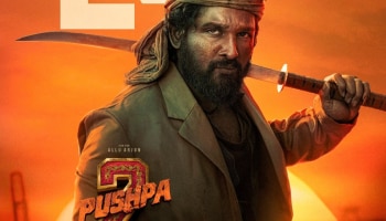 Pushpa 2: പുഷ്പ എത്താൻ ഇനയിും വൈകും; &#039;പുഷ്പ 2&#039; റിലീസ് മാറ്റിവച്ചു