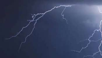 Lightning: മഴ പെയ്തപ്പോൾ മരത്തിന് ചുവട്ടിലേക്ക് മാറിനിന്നു; ഇടിമിന്നലേറ്റ് തൊഴിലുറപ്പ് തൊഴിലാളികൾക്ക് ദാരുണാന്ത്യം