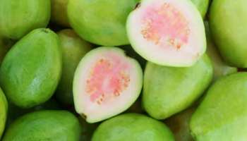 Guava Health Benefits: പ്രമേഹം, ഹൃദ്രോ​ഗം, ചർമ്മ സംരക്ഷണം... &#039;ഓൾ ഇൻ വൺ പേരക്ക&#039;