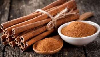 Cinnamon water: ദഹനപ്രശ്നങ്ങൾക്ക് പരിഹാരം, പ്രമേഹ സാധ്യത കുറയ്ക്കും; ദിവസവും കറുവപ്പട്ട വെള്ളം കുടിച്ചാൽ നിരവധിയാണ് ​ഗുണങ്ങൾ