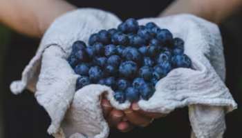 Benefits Of Blueberries: ബ്ലൂബെറി കഴിക്കുന്നത് വഴി ലഭിക്കും നിരവധി ഗുണങ്ങൾ