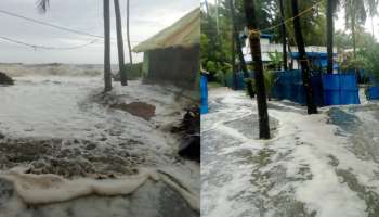 Kerala rain Alert: സംസ്ഥാനത്ത് കനത്ത മഴ തുടരുന്നു; 14 ജില്ലകളിലും മഴ മുന്നറിയിപ്പ്