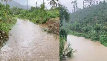 Kerala Rain: സംസ്ഥാനത്ത് അതിശക്തമായ മഴ, വയനാട്ടിൽ വ്യാപക നാശനഷ്ടം; കൺട്രോൾ റൂം തുന്നു, 111 ആളുകളെ ദുരിതാശ്വാസ ക്യാംപുകളിലേക്ക് മാറ്റി