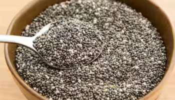 Chia Seeds: ശരീരഭാരം കുറയ്ക്കാൻ ചിയ സീഡുകൾ സഹായിക്കും; ഡയറ്റിൽ ഉൾപ്പെടുത്തേണ്ടത് ഇങ്ങനെ