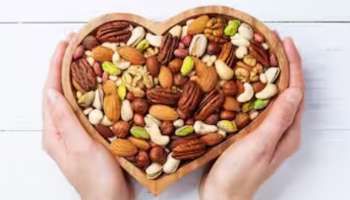 Healthy Nuts: ബദാം മുതൽ വാൽനട്ട് വരെ... അറിയാം ആരോഗ്യകരമായ ഈ നട്സുകളുടെ ഗുണങ്ങൾ