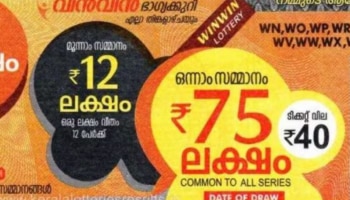 Kerala Lottery Result Today: ഇന്നത്തെ ഭാ​ഗ്യവാൻ ആരാകും? വിൻ വിൻ ലോട്ടറി ഫലം പ്രഖ്യാപിച്ചു