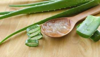 Aloe Vera: മുടി കൊഴിച്ചിലും താരനും അലട്ടുന്നോ? കറ്റാർവാഴ ജെൽ ഇങ്ങനെ ഉപയോ​ഗിച്ചു നോക്കൂ